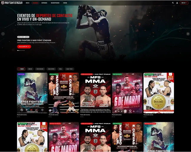 Captura del proyecto Mad Fight Stadium